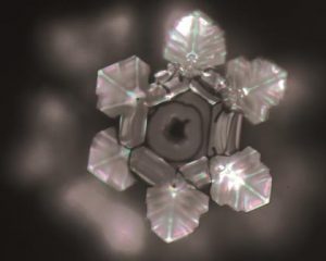 Kristall Emoto St. Leonhards Quellen Lebendiges Wasser
