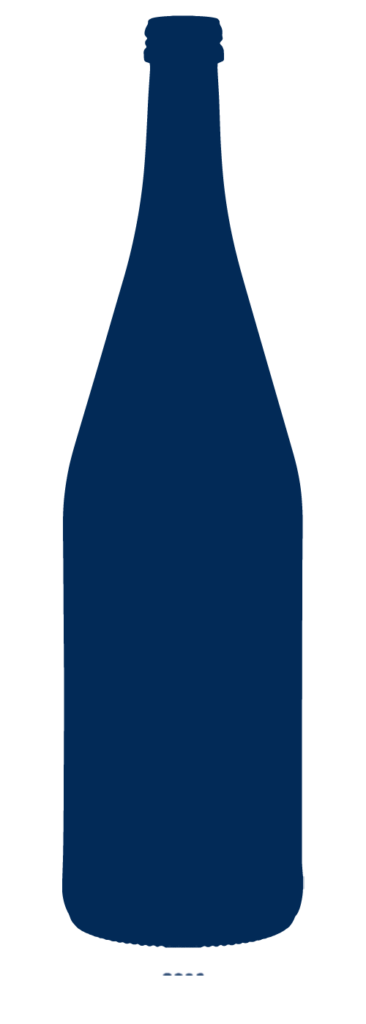 Wasserflasche Icon